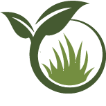 Strive Anthurium Planting